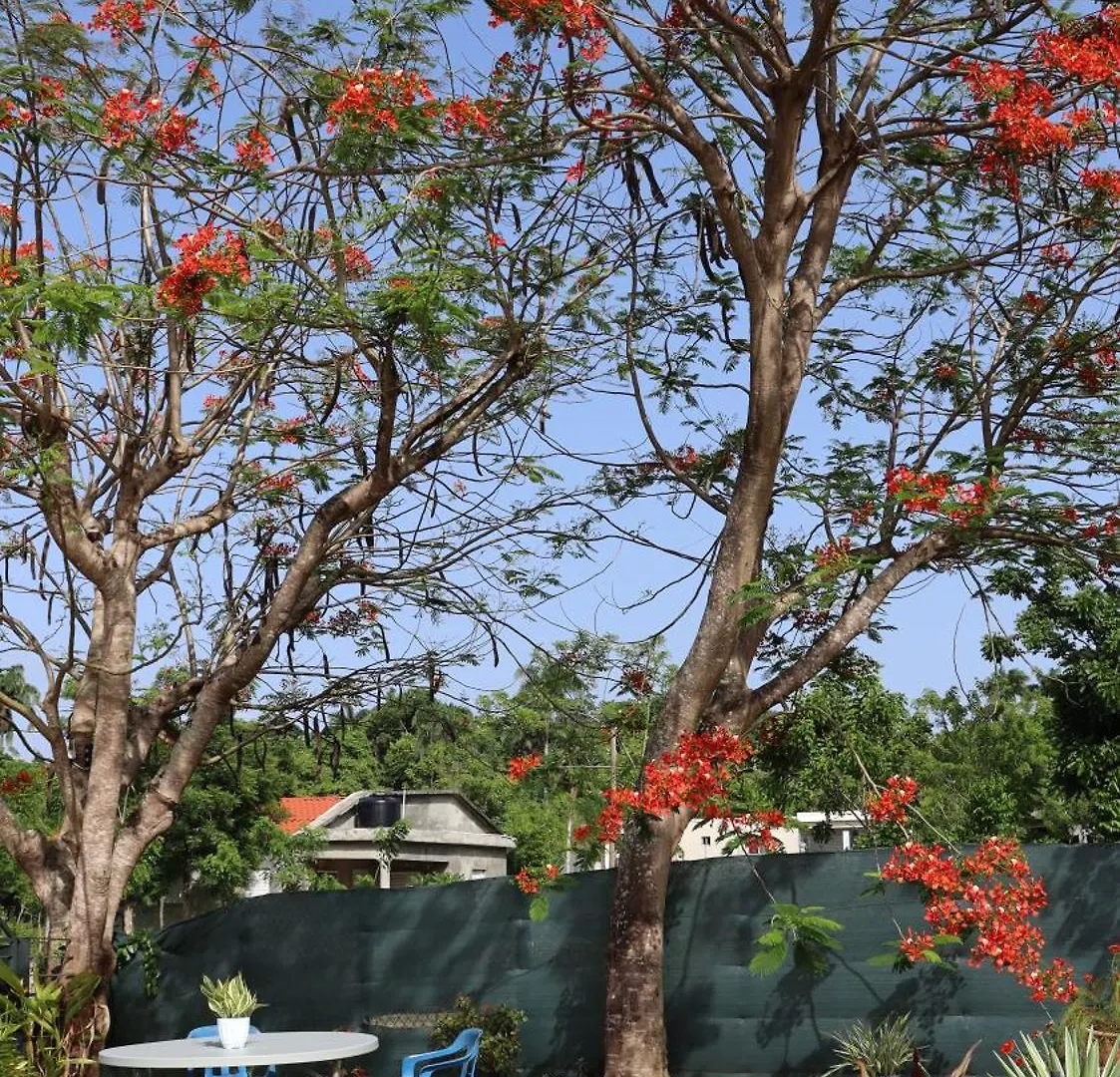 Casamia Rd B&B Río San Juan Lägenhet