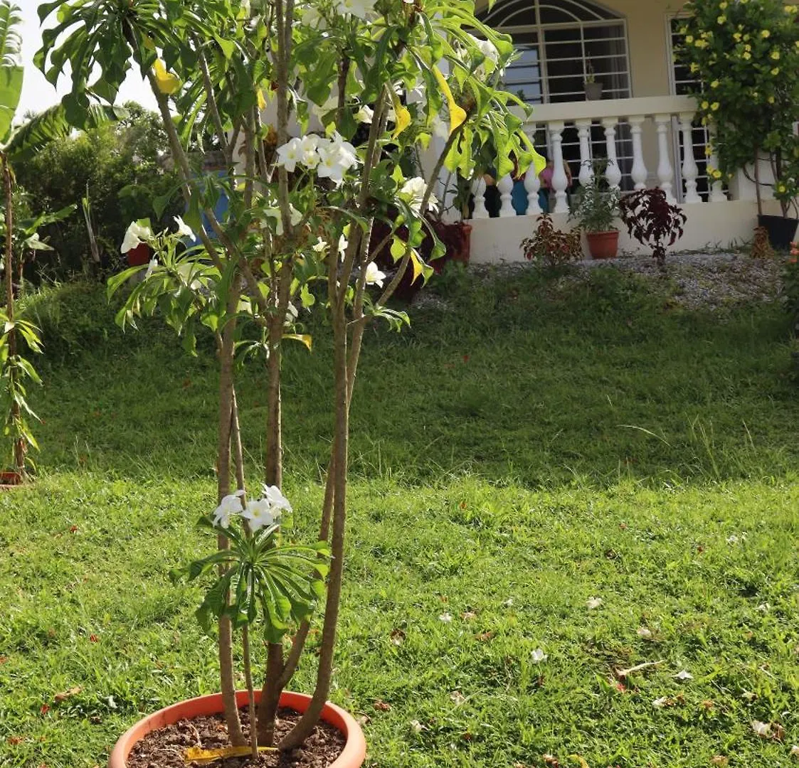 Casamia Rd B&B Río San Juan Dominikanska republiken